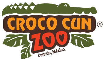 Croco Cun Zoo